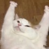 嘻嘻与哈哈