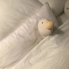 叉子