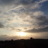 crosa