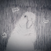 阿信Ashin