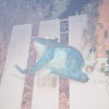 c7w2jkk98s