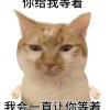 c_什麼芋泥