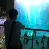 就這樣