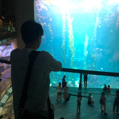 就這樣