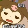 星野绘