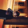 calm_scene_uq9