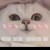 dai_yanjie