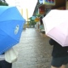 翼色雨玲