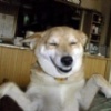 中元啦