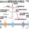 ziyu