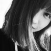 兔子森林