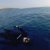 チョウガシン