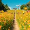 Enjoy life