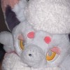 Tensaicat