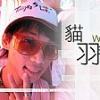 貓羽毛