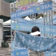 魚