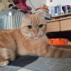 Weichang