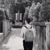ccwl_