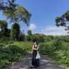 程瑜