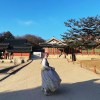 슈