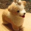 Ham-shiuan Chen