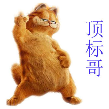 真诚的标哥