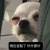 Siao__po