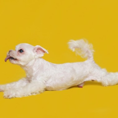 test_ok_15s