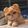 Hsuan