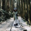 妙麗