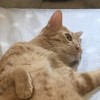 77777