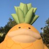 鳳梨卡