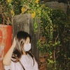 陳