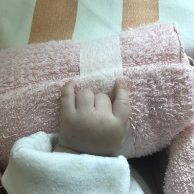 晨希