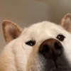 Min