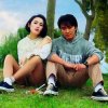 plain_grass_1vb