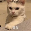 Tessaisagoodgirl