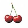 cherryboom