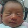 Cheryl Lu