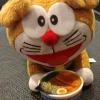 ches_tung