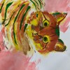 C貓