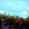 ACore