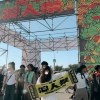 喵