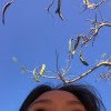 chia_ovo_y