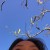 chia_ovo_y