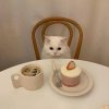 chiakty_625