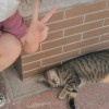 chieh_lien