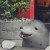 chiendau