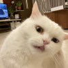 CN