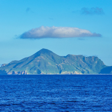 漂流木